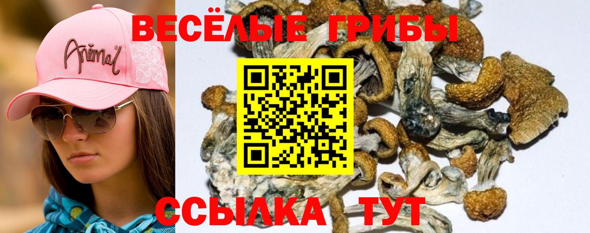 Галлюциногенные грибы мицелий  Вход с VPN  Ефремов  как найти закладки  Галлюциногенные грибы мухоморы 
