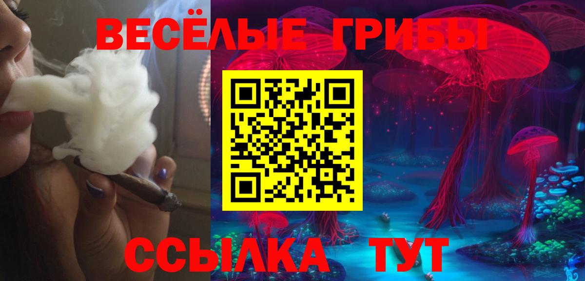 Галлюциногенные грибы Psilocybine cubensis Ефремов