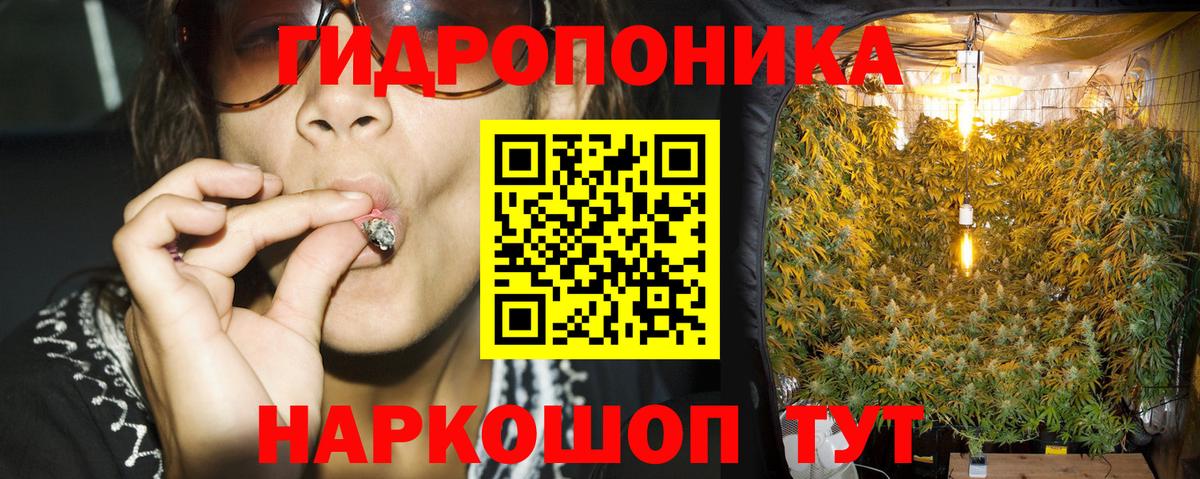 Марихуана Bruce Banner  Вход с VPN  Бошки марихуана Bruce Banner  Ефремов  Марихуана сатива 